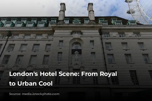 London's Hotel Scene: From Royal Charm to Urban Cool