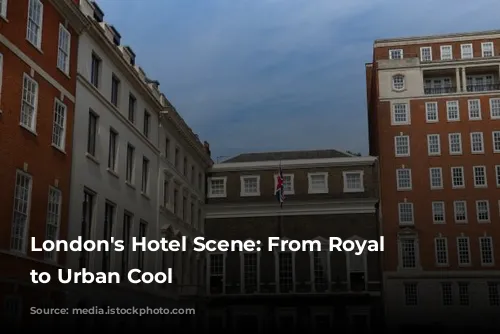 London's Hotel Scene: From Royal Charm to Urban Cool