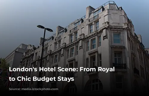 London's Hotel Scene: From Royal Elegance to Chic Budget Stays