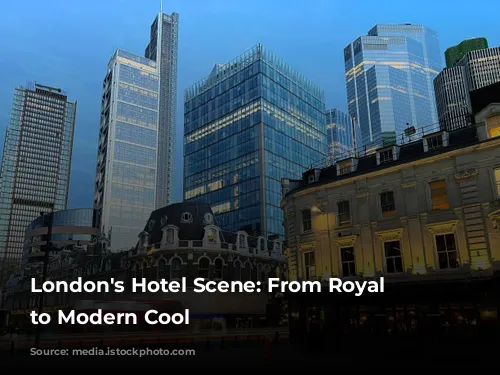 London's Hotel Scene: From Royal Glamour to Modern Cool