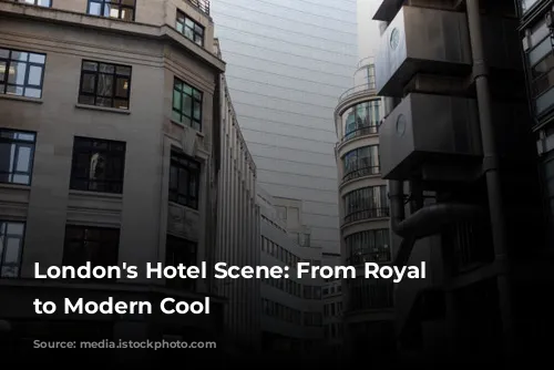 London's Hotel Scene: From Royal Glamour to Modern Cool