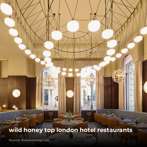 wild honey top london hotel restaurants