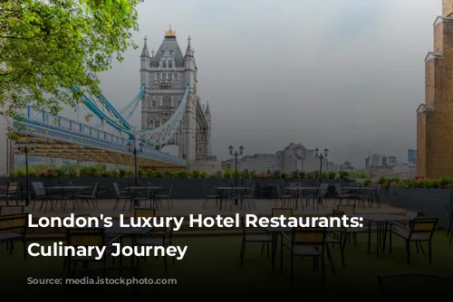 London's Luxury Hotel Restaurants: A Culinary Journey