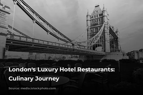 London's Luxury Hotel Restaurants: A Culinary Journey