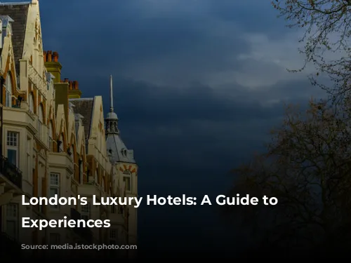 London's Luxury Hotels: A Guide to Exquisite Experiences