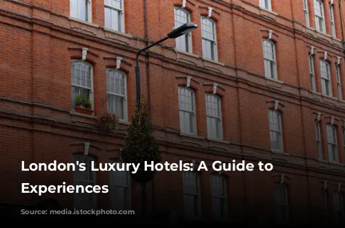 London's Luxury Hotels: A Guide to Exquisite Experiences