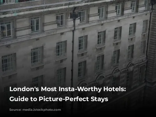 London's Most Insta-Worthy Hotels: A Guide to Picture-Perfect Stays