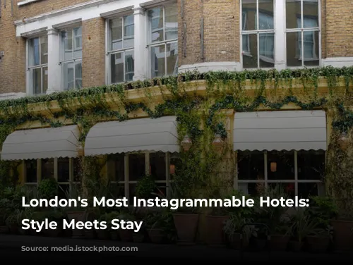 London's Most Instagrammable Hotels: Where Style Meets Stay