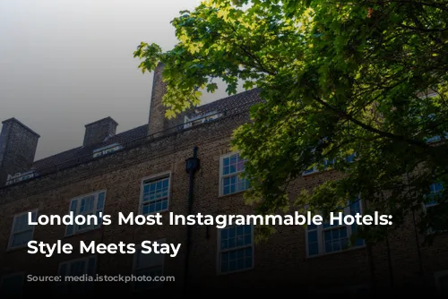 London's Most Instagrammable Hotels: Where Style Meets Stay