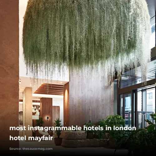 most instagrammable hotels in london 1 hotel mayfair