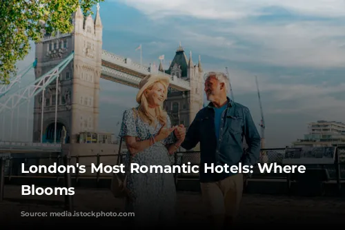 London's Most Romantic Hotels: Where Love Blooms