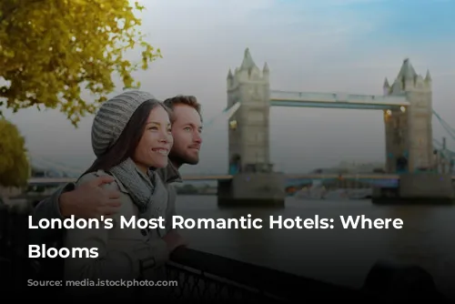 London's Most Romantic Hotels: Where Love Blooms