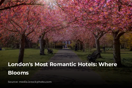 London's Most Romantic Hotels: Where Love Blooms