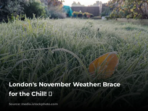 London's November Weather: Brace Yourself for the Chill! 🥶