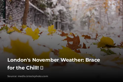 London's November Weather: Brace Yourself for the Chill! 🥶