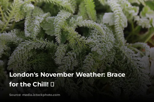 London's November Weather: Brace Yourself for the Chill! 🥶