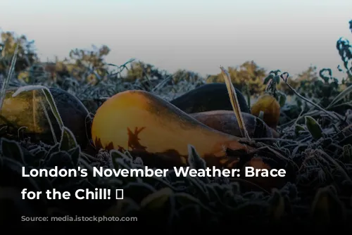 London's November Weather: Brace Yourself for the Chill! 🥶