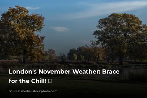 London's November Weather: Brace Yourself for the Chill! 🥶