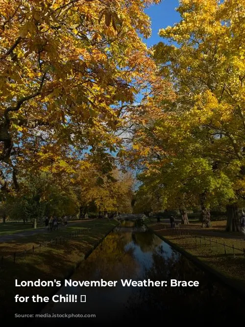 London's November Weather: Brace Yourself for the Chill! 🥶