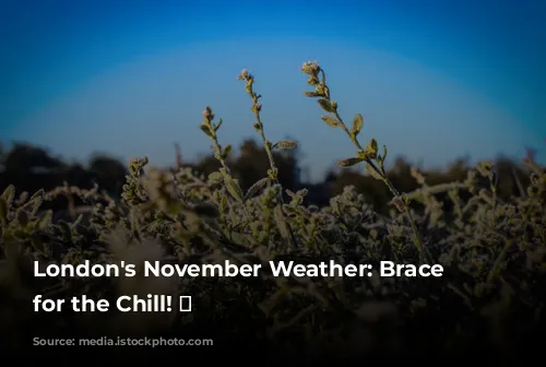 London's November Weather: Brace Yourself for the Chill! 🥶