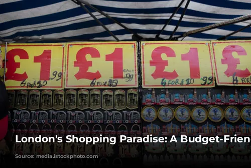 London's Shopping Paradise: A Budget-Friendly Guide