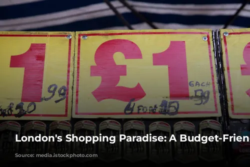 London's Shopping Paradise: A Budget-Friendly Guide