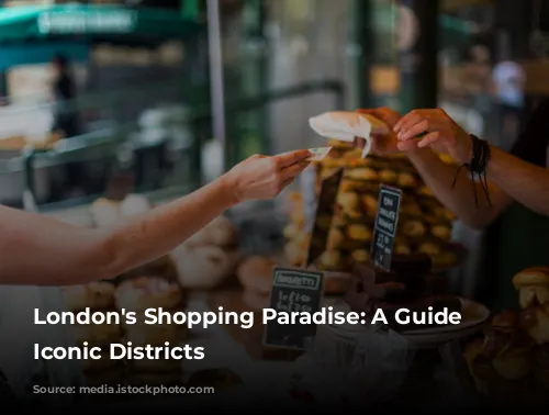 London's Shopping Paradise: A Guide to Iconic Districts