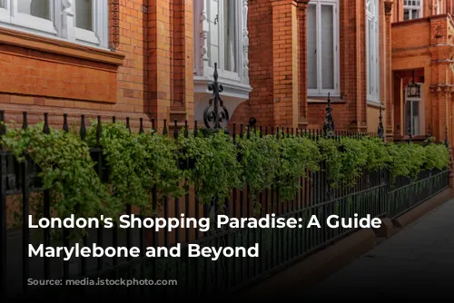 London's Shopping Paradise: A Guide to Marylebone and Beyond