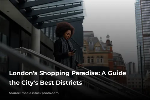 London's Shopping Paradise: A Guide to the City's Best Districts