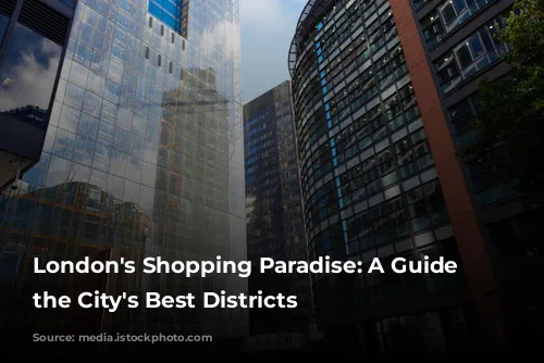 London's Shopping Paradise: A Guide to the City's Best Districts