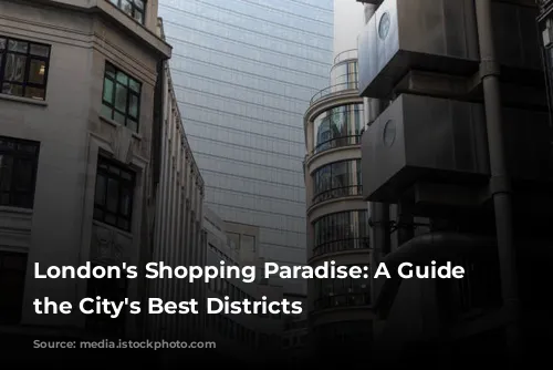 London's Shopping Paradise: A Guide to the City's Best Districts