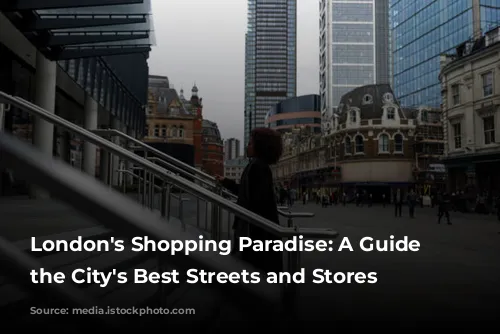 London's Shopping Paradise: A Guide to the City's Best Streets and Stores