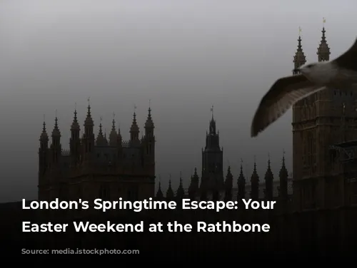 London's Springtime Escape: Your Perfect Easter Weekend at the Rathbone