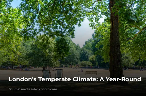 London's Temperate Climate: A Year-Round Journey