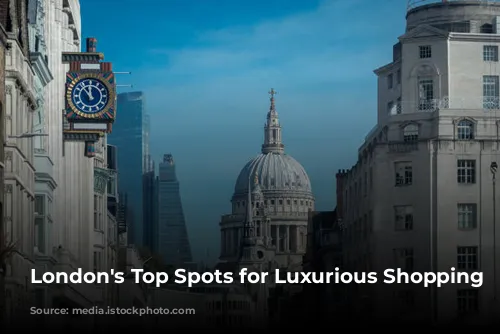 London's Top Spots for Luxurious Shopping