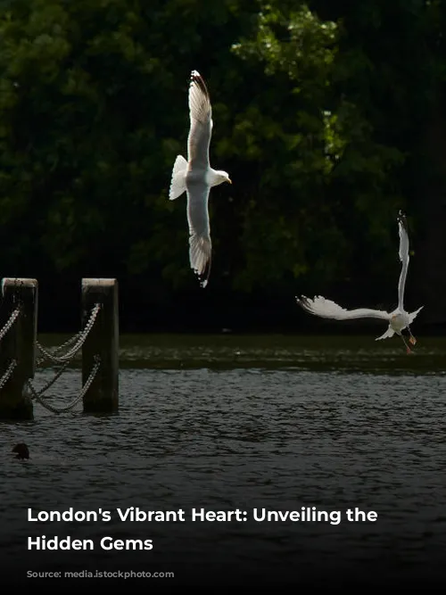 London's Vibrant Heart: Unveiling the Capital's Hidden Gems