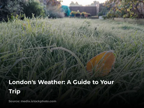 London's Weather: A Guide to Your Perfect Trip