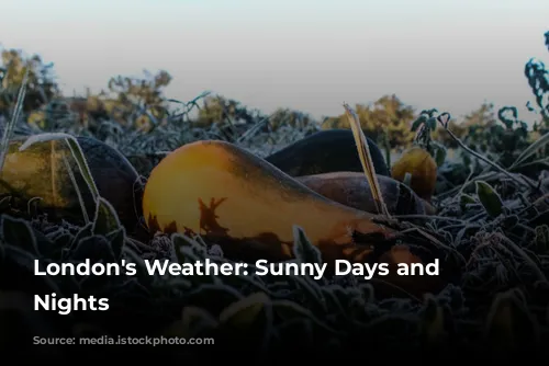 London's Weather: Sunny Days and Chilly Nights