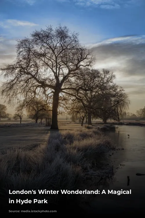 London's Winter Wonderland: A Magical Escape in Hyde Park