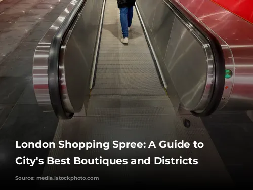 London Shopping Spree:  A Guide to the City's Best Boutiques and Districts