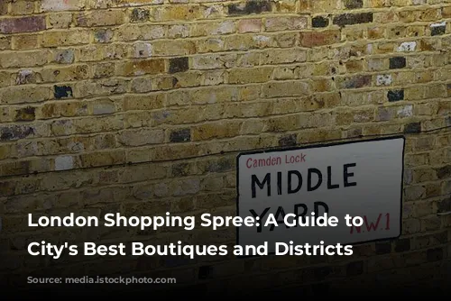 London Shopping Spree:  A Guide to the City's Best Boutiques and Districts