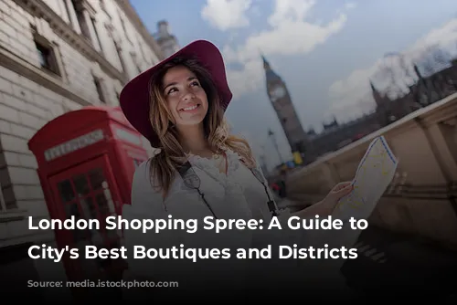 London Shopping Spree:  A Guide to the City's Best Boutiques and Districts