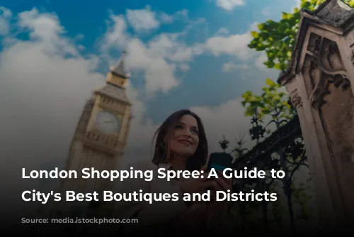 London Shopping Spree:  A Guide to the City's Best Boutiques and Districts