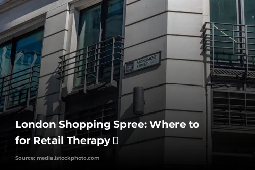 London Shopping Spree: Where to Stay for Retail Therapy 🛍️