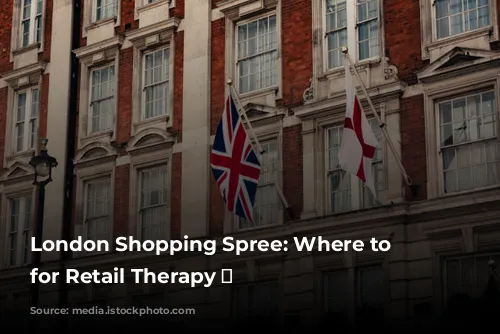 London Shopping Spree: Where to Stay for Retail Therapy 🛍️