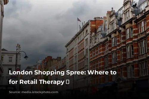 London Shopping Spree: Where to Stay for Retail Therapy 🛍️