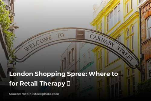 London Shopping Spree: Where to Stay for Retail Therapy 🛍️