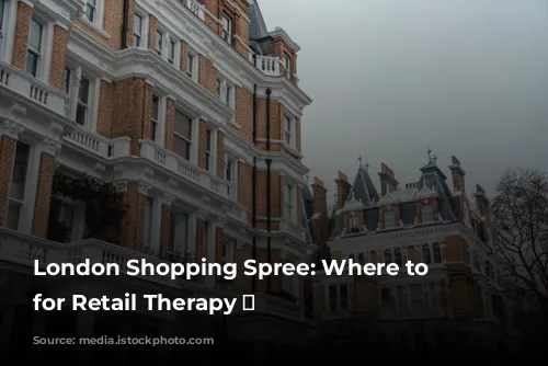 London Shopping Spree: Where to Stay for Retail Therapy 🛍️