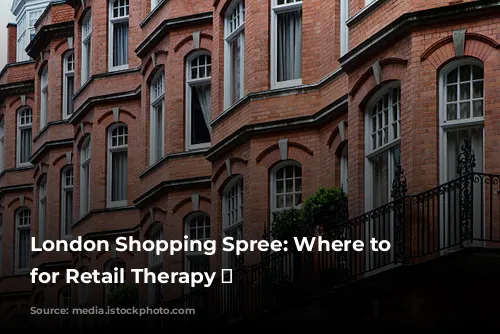 London Shopping Spree: Where to Stay for Retail Therapy 🛍️