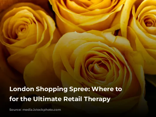 London Shopping Spree: Where to Stay for the Ultimate Retail Therapy